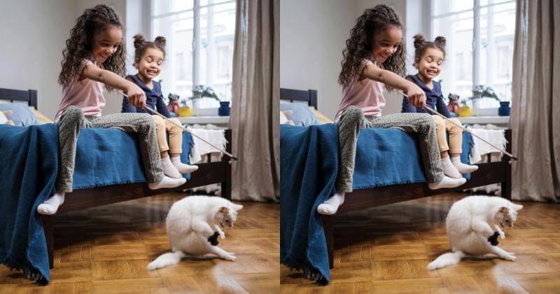 Pexels/CottonbroStudio